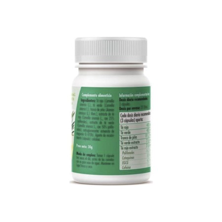 Té Verde + Té Rojo + Piña 60 cápsulas 500 mg | Suplemento natural vegetal