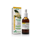 Composor 03 - Boldo Complex, 50ml.