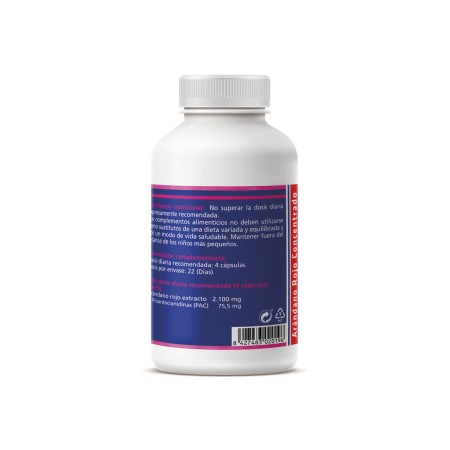 Arándano Rojo Concentrado, 90 Cápsulas de 650mg. 3